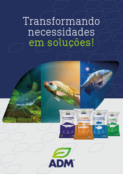 Catálogo